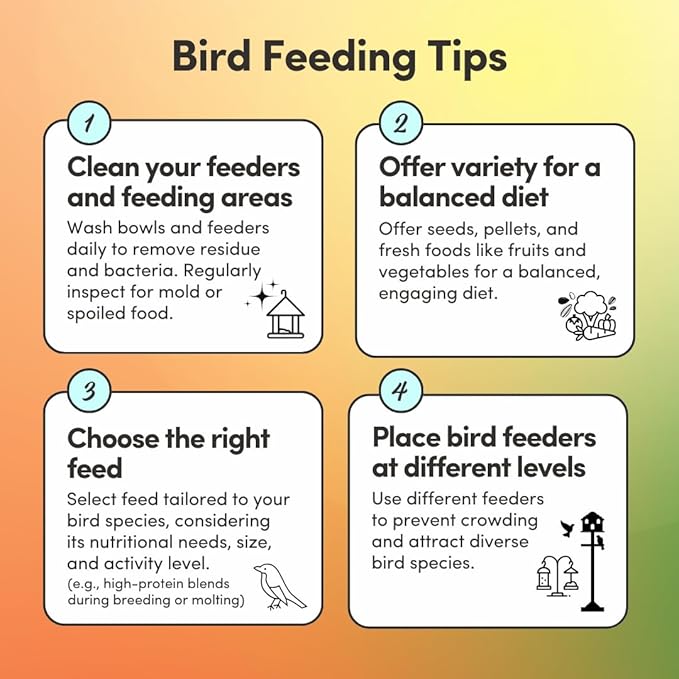 Mycelium Organic Cockatiel & Parrotlet Bird Seed (5 LBS) | Filler-Free Bird Food with Hulled Seeds for Cockatiels & Parrotlets | Supports Daily Energy, Immunity & Digestion | Non-GMO, Made in USA