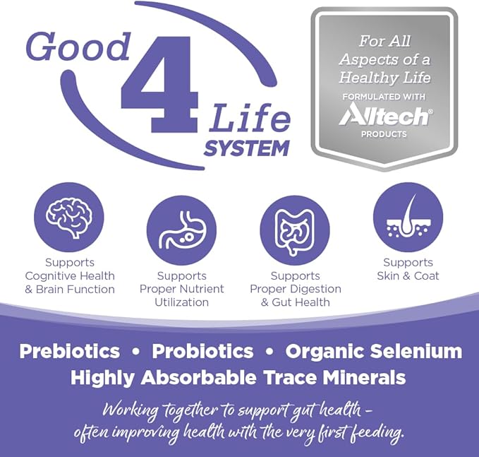 NutriSource Chicken & Rice Small & Medium Breed Puppy Food, Premium Wet Dog Food, 12.3 Ounce (Pack of 12)