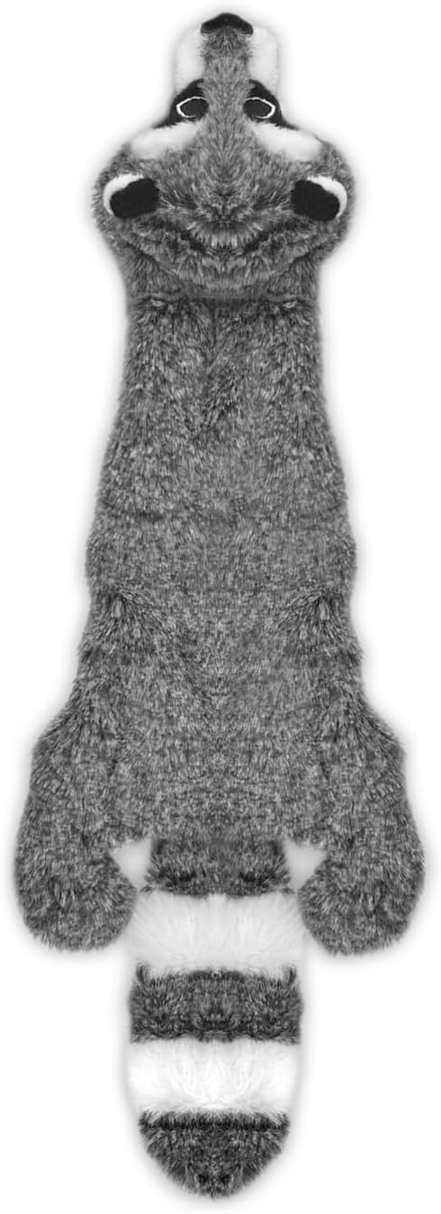 Best Pet Supplies Squeaky Dog Toys with Soft Durable Fabric for Small, Medium and Large Pets Interactive Toy for Indoor Play, Supports Active Biting and Play - Raccoon, Small