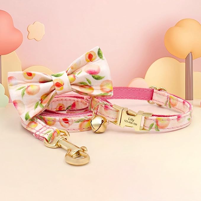 Personalized Cat Collar with Engraved Name Phone Number for Boy and Girl Kittens (Fruit)