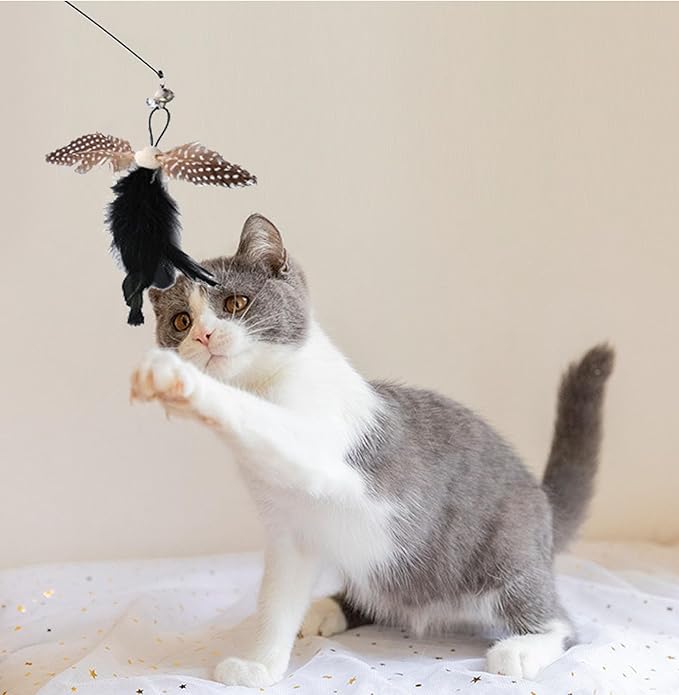 Cat Feather Toys, Indoor Cat Interactive Toys, 2 PCS Flexible Wire and 5 PCS Cat Feather Toys, for Bored Indoor Cats, Indoor Cat Chase Toys