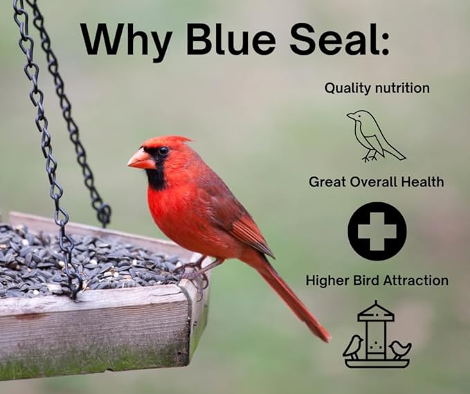 Blue Seal Concerto Wild Bird Seed | Premium High-Energy Blend | No Fillers, Corn-Free | Attracts a Wide Variety of Wild Outside Birds | Convenient Shell-Free Mix | Made in USA | 20 Pound Bag