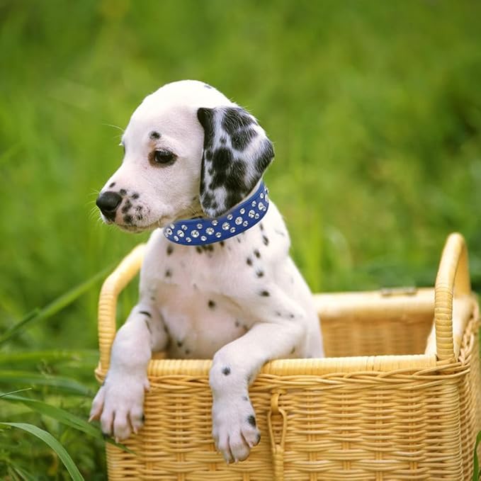 Blue Dog Collar XXS, Bling Diamond Cat Collar Rhinestone Faux Leather Fancy Crystal Glitter Pretty Jewel Female Puppy Collars for XXS XS Small Medium Large Pet Girl Dogs, XXSmall