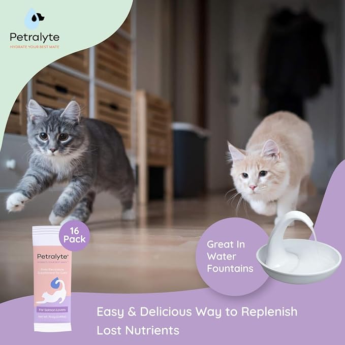 Petralyte Cat Hydration Electrolyte and Cat Joint Supplement | Hydration Support for Cats w/Glucosamine, Chondroitin, L-Glutamine, Taurine, Lysine & Prebiotics | for Salmon Lovers | 16 Packets