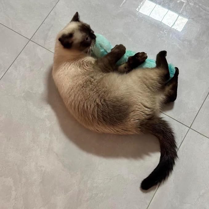 PAZ'S GIFT Catnip Toys - Cat Kick & Rope Toys for Indoor Play, cat & Kitten Teething Chew Toys for Aggressive Chewing & Teeth Cleaning (Cat Pillow)