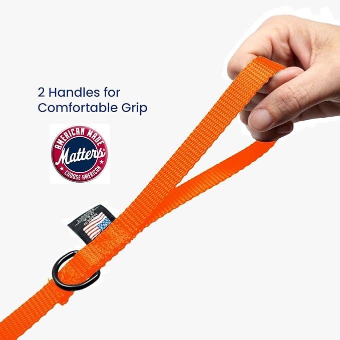 Dog Leash for Teacup Toy Minature and Small Dogs Primary & Traffic Handle The Bulk Multiple Sizes & Colors 5/8” Width Nylon Proudly Made in The USA (Hot Orange, 6 Foot)