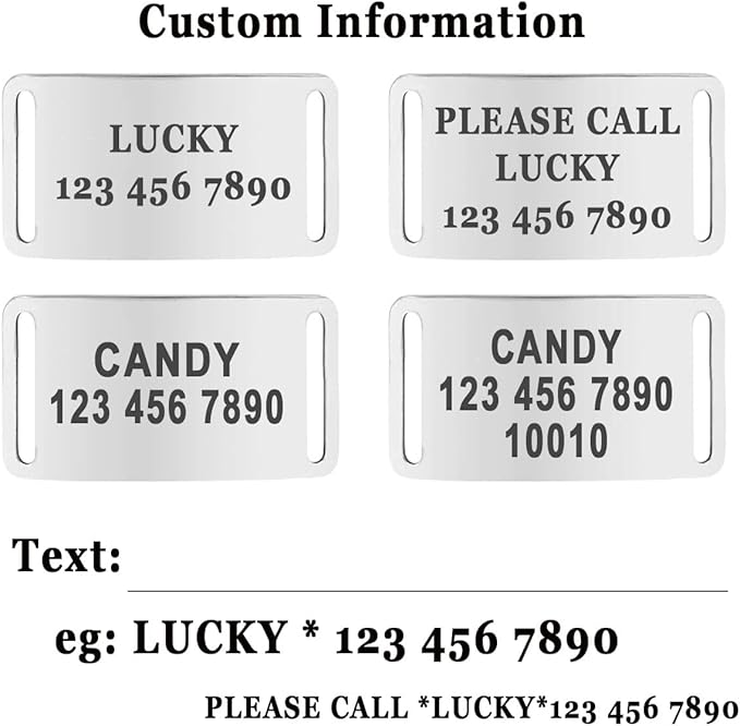 Personalized Custom No Pull Dog Harness Leash Set with Name Phone Number-Heavy Duty Reflective Soft Padded Dog Vest Harness with Easy Control Handle for Small Medium Large Dog-2 Leash Attachments