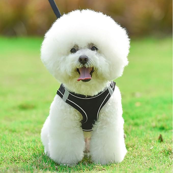 Puppy Harness and Leash Set, Escape Proof Dog Cat Vest Harness for Cats Small Medium Dogs, Adjustable Reflective Step in Harness,Soft Mesh Comfort Fit No Pull No Choke (Medium(13.7"-15.7"), Black)