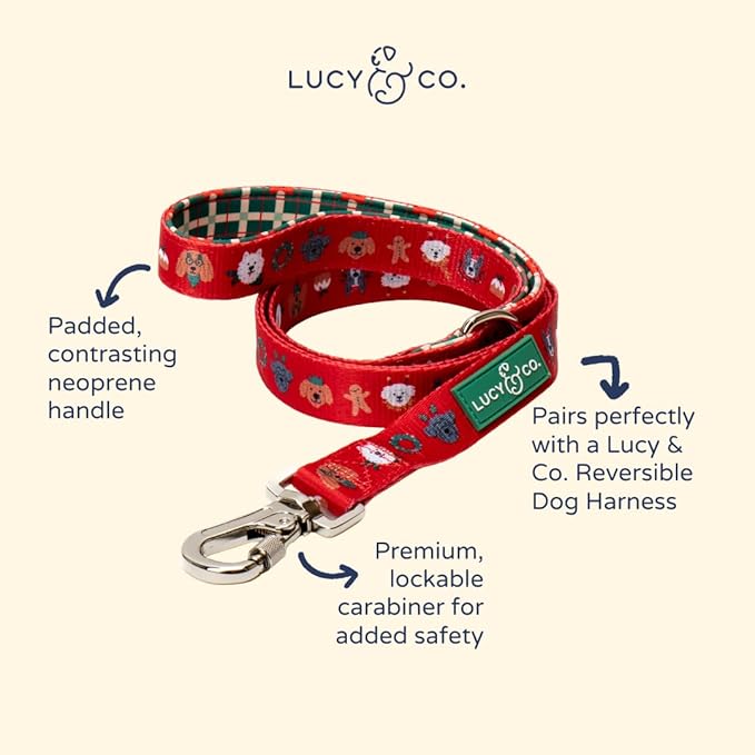 Lucy & Co. 5 Foot Designer Dog Leash for Small, Medium or Big Dogs or Puppies Puppy – Pet Accessories & Supplies- Happy Howlidays - Small