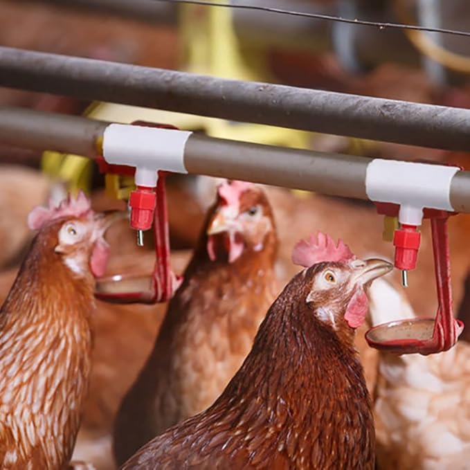 Pack of 30 Chicken Waterer PVC Tee Fittings Waterer Fully Automatic Poultry Waterers PVC Fittings for Threaded Poultry Waterer Cups Nipples Feeders