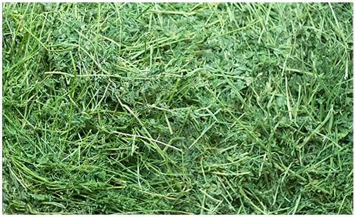 Fresh Alfalfa Hay 20Lbs by Bunny Honey - Natural Hay for Guinea Pigs, Rabbits, Hamsters, Hedgehogs, and More Small Animal Pets - Not Blended, Green Chopped & Delivered Fresh
