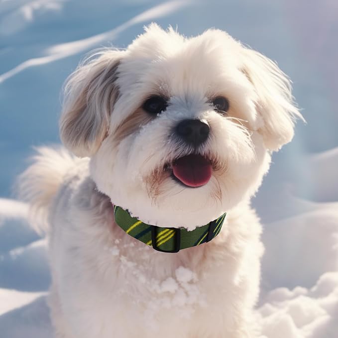 Green Yellow Dog Collar and Leash Set for Large Dog, Breathable, Anti-Odor & Soft, Comfortable for Sensitive Skin Puppies, 90% Bamboo Rayon, Adjustable Quick-Release Buckle Pet Collar for Large Breed