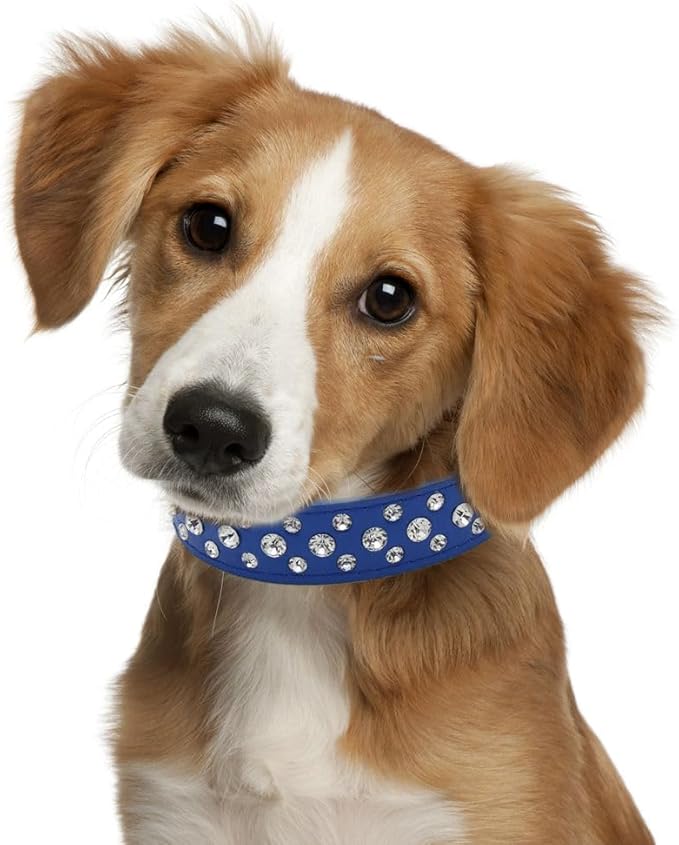 Blue Dog Collar XXS, Bling Diamond Cat Collar Rhinestone Faux Leather Fancy Crystal Glitter Pretty Jewel Female Puppy Collars for XXS XS Small Medium Large Pet Girl Dogs, XXSmall