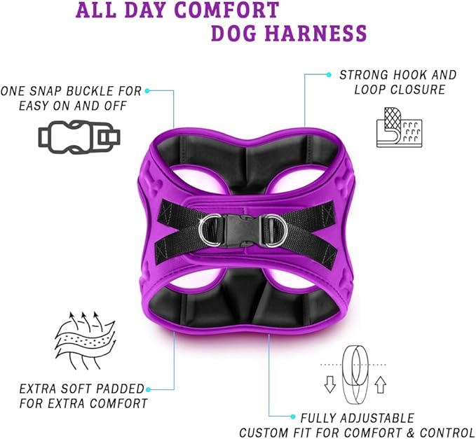 Comfort Fit No Pull Dog Harness – Adjustable Step-in Vest for Small, Medium & Large Dogs, Soft Padded with Leash Clips, Reflective Straps & Handle