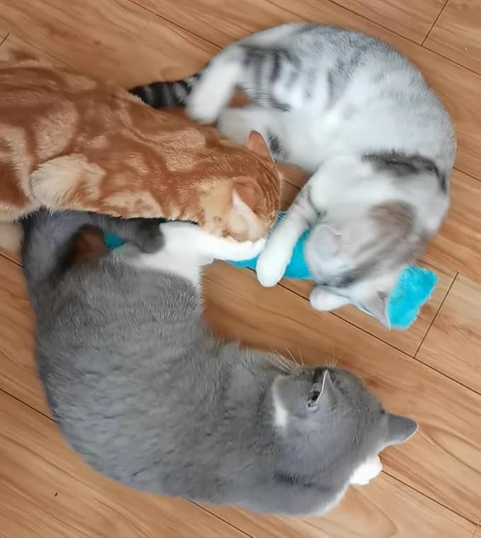 PAZ'S GIFT Catnip Toys - Cat Kick & Rope Toys for Indoor Play, cat & Kitten Teething Chew Toys for Aggressive Chewing & Teeth Cleaning (Cat Pillow)