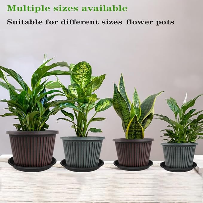6 Pack Plant Saucer 10 inch, Heavy Duty Plastic Plant Saucers 10 inch, Durable Plant Tray for Pots, Flower Saucers for Indoors, Plant Pot Saucers, Trays for Planter 8"/9"/10" (Black)