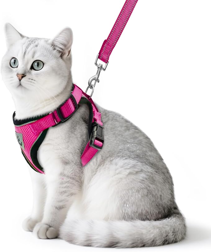 PUPTECK Cat Harness and Leash Set Escape Proof Reflective Cat Walking Harness Adjustable Soft Breathable Mesh Vest for Small Pets, Deep Pink, S