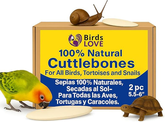 Birds LOVE Natural Cuttlebone for Birds & Reptiles – 100% Pure Sun-Dried Calcium Supplement – Supports Beak, Bone & Shell Strength – Safe Daily Use - 2 Pack with Holder, Size 5.5 to 6"