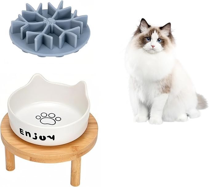 3PCS Elevated Cat Bowls,Wide Raised Ceramic Pet Dishes with Bamboo Stand, Whisker Friendly Pet Water or Food Plates Feeding Station for Indoor Small Dogs, Kitten (White(1PCS))