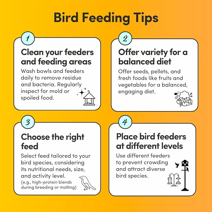 Mycelium Organic Small Parrot Bird Seed (5 LB Bag) | High-Energy Bird Food w/Premium Seeds & Grains for Skin & Feather Health | Daily Nutrition for Parrotlets, Conures & Cockatiel | Non-GMO, USA Made