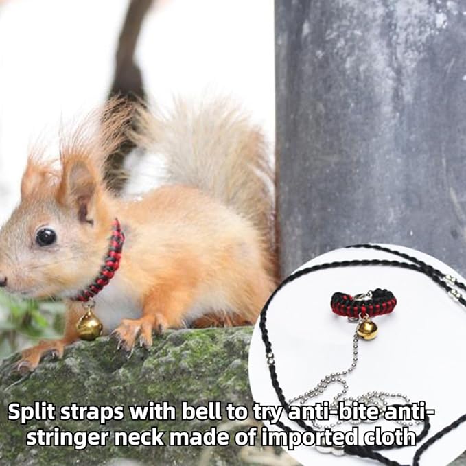Squirrel Traction Rope Strap Anti-Biting Chain Rope, Small Animal Walking Collar Harness with Lead Leash for Hamster Gerbil Rat Mouse Ferret Chinchilla (Black with Orange)