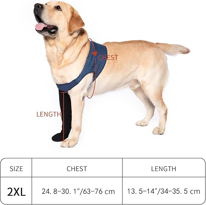 COODEO Dog Socks to Prevent Licking Paws, Healing Boots & Paw Protectors with Non-Slip Bottoms for Wound Protection, Waterproof Sleeve Shoes for Licking（Blue，2XL_Left