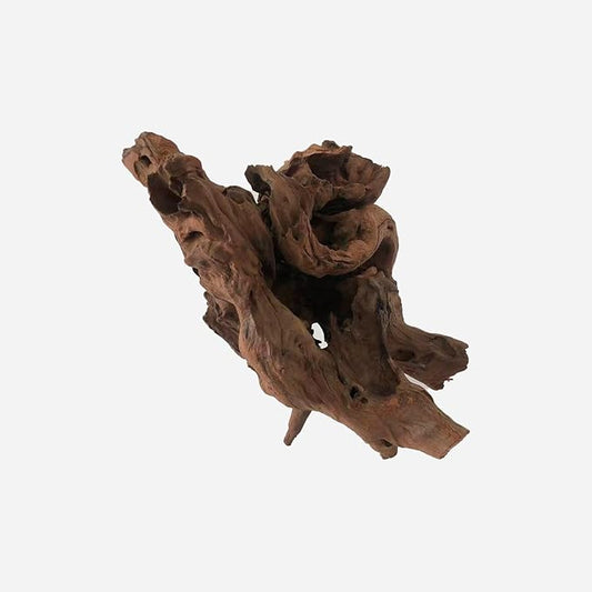 LYPHARD AQUARIUMS Natural Driftwood for Aquarium Decor, L12.2×W9.84×H11.02 Inches Large Drift Wood Decorations for Reptile Hide, Fish Tank, Optional Shapes