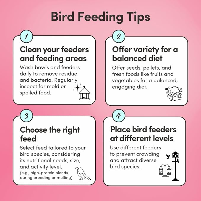 Mycelium Pet Bird Plus Feed (5 LB Bag) | Organic Bird Food for Parakeets, Lovebirds & Cockatiels | Vitamin-Fortified with Real Fruits & Veggies | Immune Support, Daily Nutrition | Non-GMO, USA Made