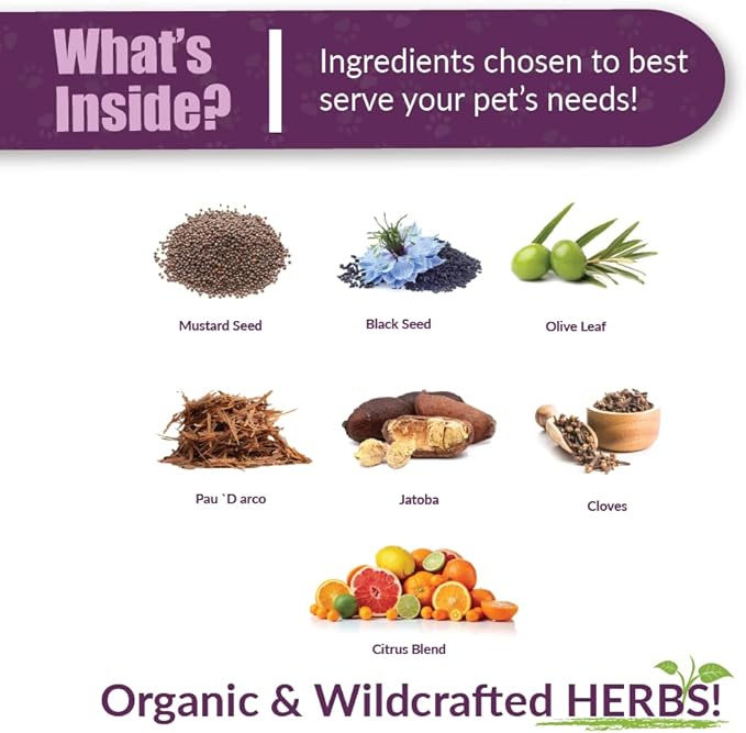 Amber NaturalZ Kochi Free Herbal Supplement for Dogs, Cats, Birds, Guinea Pigs, and Rabbits | Pet Herbal Supplement for Healthy Stool Support | 1 Fluid Ounce Glass Bottle | Manufactured in The USA