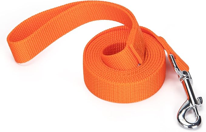 Strong Durable 6ft Nylon Dog Training Leash, 1 Inch Wide Traction Rope, for Small and Medium Dog (Orange, 6 Feet)