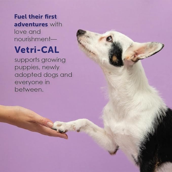 High Calorie Nutritional Gel for Dogs & Cats – Appetite Booster with Omega 3-6-9, Vitamins A-D-E-B – Recovery & Energy Support – Tasty Malt Flavor – 5 oz Tube