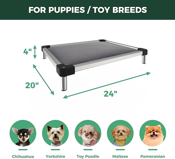 FXW TitanNest Chew-Proof Elevated Dog Bed, Raised Cot for Indoor/Outdoor/Camping Use, Durable & Washable Padded Pet Bed for Toy Dogs, 24.0" L x 20.0" W x 4.1" H, Gray