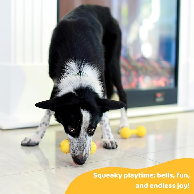 Pup's Pick Dog Chew Toy with Bell - Squeaky Chew Toys for Aggressive Chewers, Natural Rubber Puppy Chew Toys for Teething, Medium and Small Breeds Indestructible Dog Toy, Teething Toys for Puppies