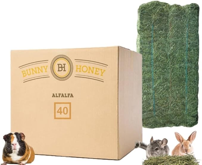 Fresh Alfalfa Hay 40Lbs by Bunny Honey - Natural Hay for Guinea Pigs, Rabbits, Hamsters, Hedgehogs, and More Small Animal Pets - Not Blended, Green Chopped & Delivered Fresh
