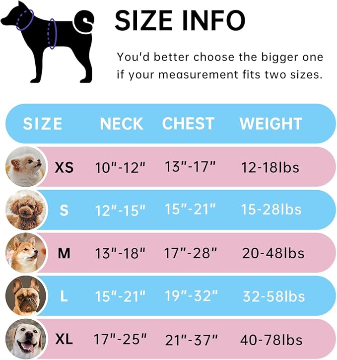 IVY&LANE No Pull Dog Harness with Leash Set, Reflective No Choke Pet Vest,Adjustable Oxford Dog Vest Harness with Easy Control Handle for Large Dogs (Checkered Blue,L)