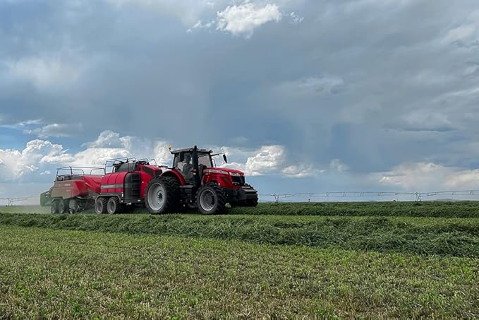 Fresh Alfalfa Hay 20Lbs by Bunny Honey - Natural Hay for Guinea Pigs, Rabbits, Hamsters, Hedgehogs, and More Small Animal Pets - Not Blended, Green Chopped & Delivered Fresh