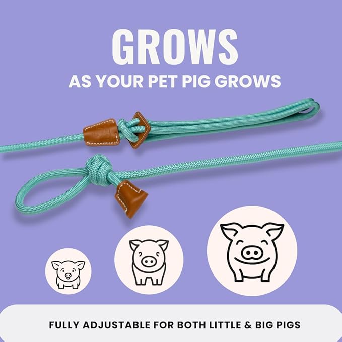 PORCINE® Mini Pig Harness & Leash – Fully Adjustable Step-in Harness with Infinity-Style Lead - Ideal for Small & Medium Potbelly Pigs – Durable, Comfortable, Easy-On Easy-Off (Small Eggshell Blue)