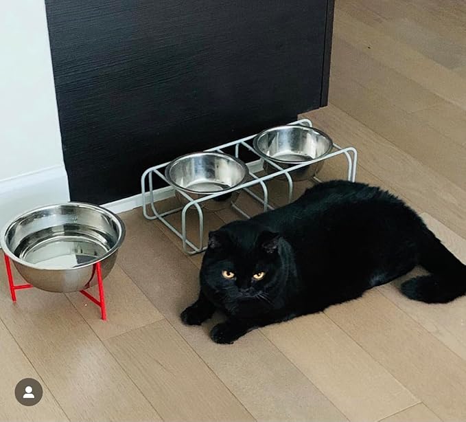 Wire & Dine Elevated Dog Bowls Stand for Small & Medium Sized Dogs & Cats - 2 Stainless Steel 3 Cup Dishes - Non-Skid, Modern Minimalist Design, Dishwasher Safe, White Frame - Made in USA
