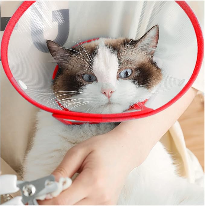 Pet Cone Recovery Dog Cone Adjustable Dog Collar Clear Padded Collar with Breathable Soft Edge, Plastic Puppy Cone Protect The Neck Surgery Recovery, Designed for Cats and Puppies (Medium, Red)