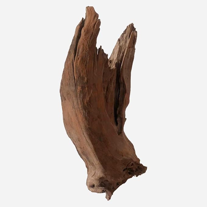 LYPHARD AQUARIUMS Natural Driftwood for Aquarium Decor, L12.99×W9.45×H18.9 Inches Large Drift Wood Decorations for Reptile Hide, Fish Tank, Optional Shapes