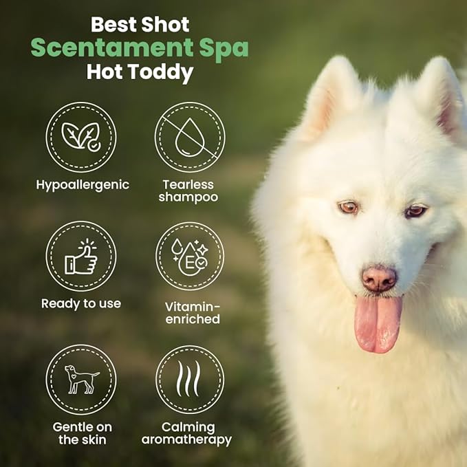 Best Shot Scentament Spa Seasonal Body and Facial Wash, Tearless Shampoo, Hypoallergenic Body Wash, Removes Tear Stains, Hot Toddy, 16 Oz.