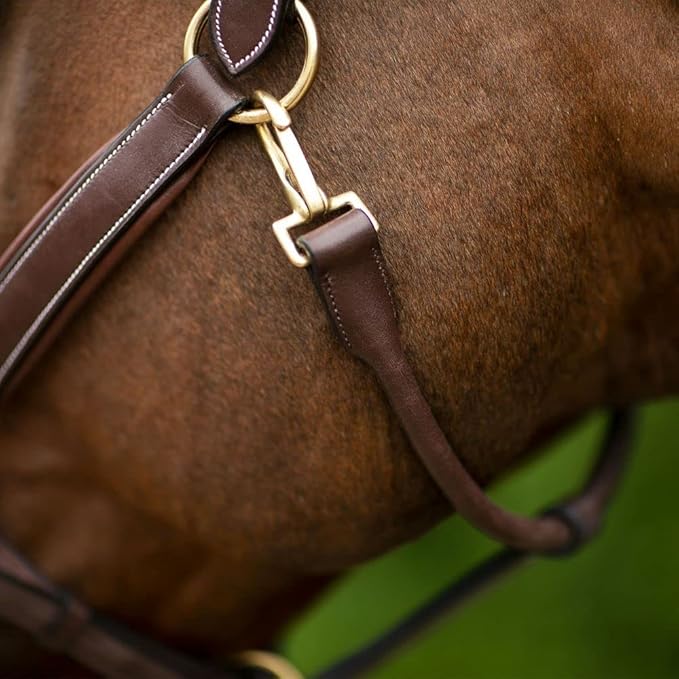 Joseph Sterling Comfort Crown Leather Halter for Horses | Memory Foam Interior for Comfort | Anatomical Design Radiant Chocolate Color with Fancy Stitch Design