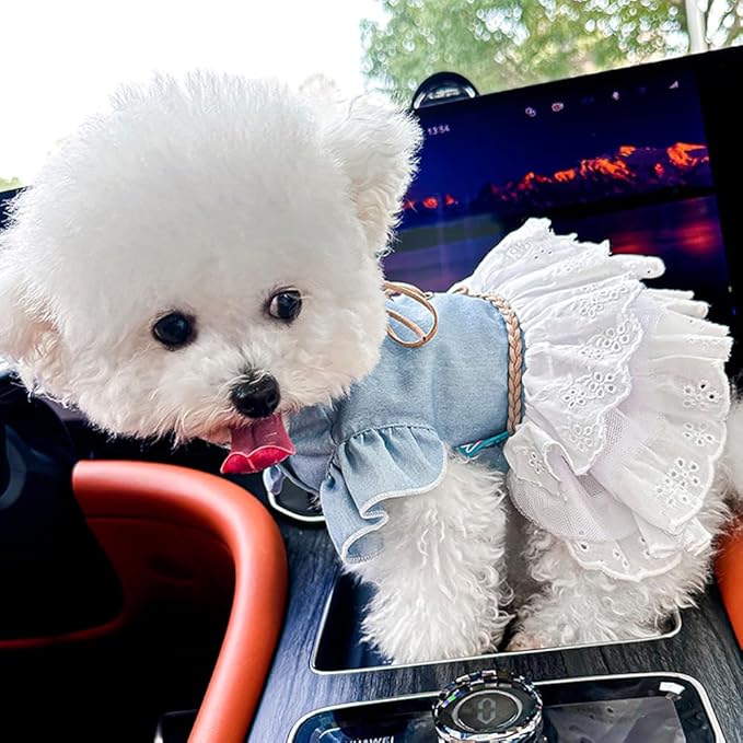 Girl Dog Denim Dress with Flared Sleeves Dog Jeans Jacket Blue White Puppy Clothes for Small Dogs Cat Apparel Cake Skirt Pet Outfit (Blue, Medium)