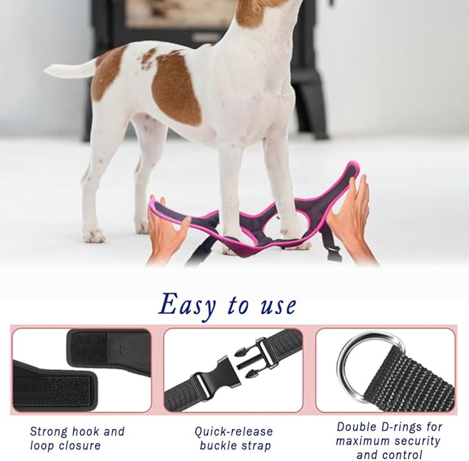 Comfort fit Step-in Dog & Puppy Harness - Comfortable All Weather Dog Vest Harness: Adjustable, Soft Padded, Easy to Put-on for Small, Medium-Sized Dogs.