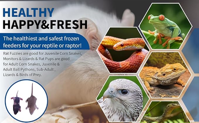 MiceDirect EST. 2003 40 Frozen Rat Combo Pack 20 Rat Fuzzies and 20 Pup Feeders Snake Food for Baby Ball Pythons and Boas (2-3.5 in)(580 Grams Min)