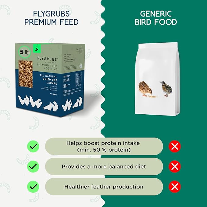 FLYGRUBS 5 lb Dried Black Soldier Fly Larvae - High-Calcium Chicken Treats for Laying Hens and Wild Birds - Nutrient-Rich Mealworm Alternative - Supports Feather Growth and Strong Eggshells