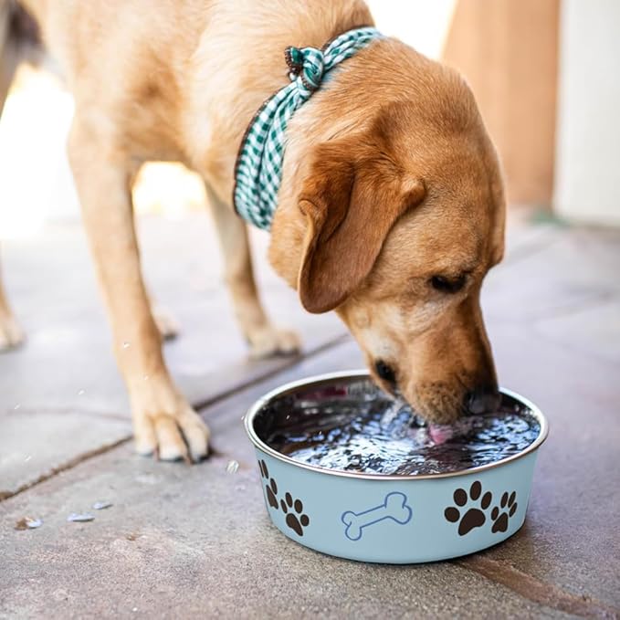 Loving Pets Bella Dog Bowls- Stainless Steel Dog & Cat Bowls - Spill Proof Dog Food Bowl, Cat Bowl, Puppy Essentials & Pet Supplies Great for Home & Travel (Large 35-65 lbs, Murano Blue)