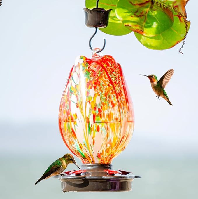 Tulip Shaped Glass Hummingbird Feeders for Outdoors - 36 Oz Hummingbird Feeder - Humming Bird feeders for Outdoors Hanging