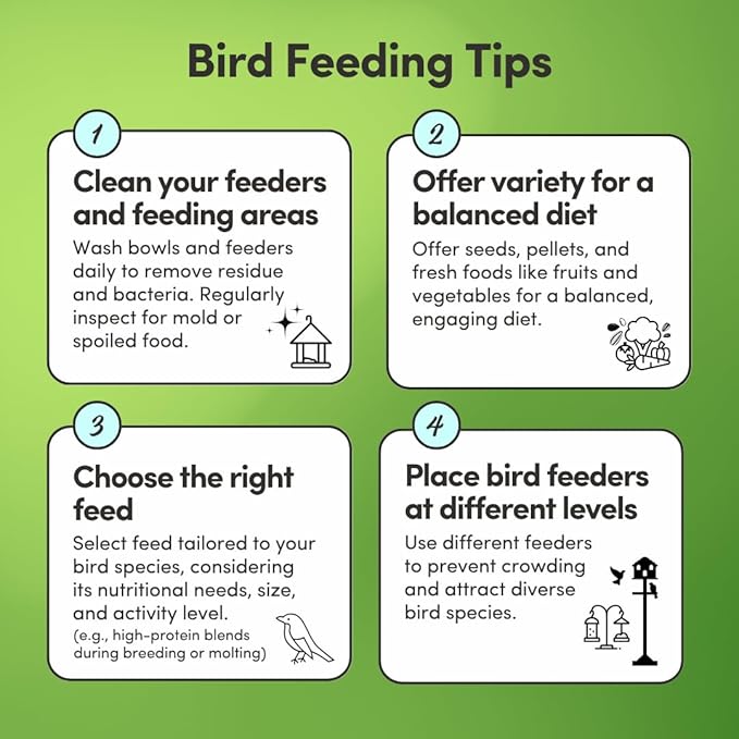 Mycelium Organic Conure Plus Feed (5 LBS) | High-Protein Bird Seed for Conures | Brain & Heart Health, Vitamin-Fortified Daily Nutrition | Omega-Rich, Non-GMO, USA Made