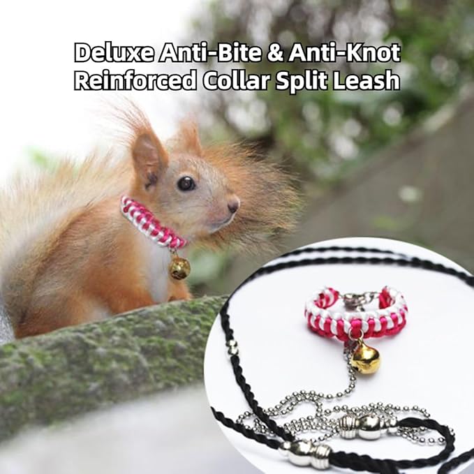 Squirrel Traction Rope Strap Anti-Biting Chain Rope, Small Animal Walking Collar Harness with Lead Leash for Hamster Gerbil Rat Mouse Ferret Chinchilla (Red)